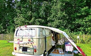 Traditional Camp